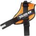 Buy IDC Powerharness 3XL/4 - Copper Orange | International Shipping Available - Buy Online on SooperMarket.com