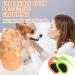 Premium PET Knotting Comb - De-Knot Tool for Cats & Dogs | Remove Matted Hair Effortlessly - Orange/Green - Buy Online on SooperMarket.com