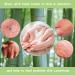 Bamboo Eczema Gloves for Women - Moisturizing Overnight Relief (3 Pairs) - Buy Online on SooperMarket.com
