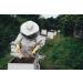 Pure Raw Honey with Pollen & Beeswax - 1kg Unheated & Natural | Premium Angel Root Honey - Buy Online on SooperMarket.com