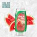Duschda Watermelon Shower Gel 6-Pack | Refreshing Fresh-Energy Fragrance - 225 ml Each | International Shipping Available - Buy Online on SooperMarket.com