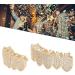 Diamond Teeth Grillz Cold Plated Copper Grills for Your Teeth Reusable Vampire Teeth for Kids Men Women Teeth Decoration for Halloween Party Hip Hop Music Concerts Birthday(gold) - Buy Online on SooperMarket.com