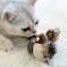 Gigwi Interactive Cat Toy - Real Chirping Bird Sound | Feather & Plush Design for Indoor Cats | Relieves Boredom - Buy Online on SooperMarket.com