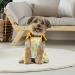 Pineapple Sunflower Large Pet Dress & Shirt Set - 4 Piece Cute & Breathable Puppy Clothes - Buy Online on SooperMarket.com
