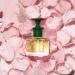 Caswell-Massey Rose Perfume Discovery Classic Floral Scent Luxurious & Long-Lasting Fragrance for Women Travel Size Vial Perfume for Women 0.25 Fl Oz Rose 0.25 Fl Oz (Pack of 1) - Buy Online on SooperMarket.com