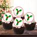 PRECUT Christmas Holly Cupcake Toppers Christmas Edible Holly Cake Decorations Christmas Cake Topper Xmas Cupcake Decoration Holly Cake Decorations (24) - Buy Online on SooperMarket.com