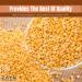 Zayd Organics Toor Dal  Indian Split Yellow Pigeon Peas  USDA Organic  1.75lbs (800g) - Buy Online on SooperMarket.com