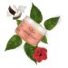 SheaMoisture Curling Gel Souffle - Coconut & Hibiscus 12 oz | Define & Moisturize Curls - Buy Online on SooperMarket.com