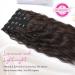REECHO 5PCS Brown Clip in Hair Extensions 24 Thick Long Loose Waves HE002 - Dark Chocolate Brown | Natural Soft Hairpieces for Women - Buy Online on SooperMarket.com