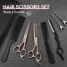 JASON Professional Hairdressing Scissors Set - 6.5 inch Hair Cutting & Thinning Scissors, Rose Gold Hairdresser Set - Buy Online on SooperMarket.com