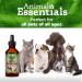 Animal Essentials Super Immune Support for Dogs & Cats - 1 fl oz | Promotes Healthy Immune System - Ol Complex - 2 fl oz - Buy Online on SooperMarket.com