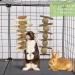 Fantesi 2-Piece Rabbit Toys Set - Kieletzeiten & Kachtiele with Apple Wood Chew Timothy Hay Sticks & Carrot Cake | Ideal Dental Care for Bunnies Hamsters Mice & Chinchillas - International Shipping Available - Buy Online on SooperMarket.com