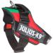 Buy IDC Powerharness L/1 in Lithuanian Colors | Premium International Shipping - Buy Online on SooperMarket.com