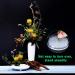 Worldity 6-Piece Flower Frog Set with Suction Cups - Ikebana Arrangement Tool for Vases and Plant Decoration - Buy Online on SooperMarket.com