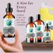 Buy Bella Terra Black Raspberry Seed Oil 2 oz - Cold-Pressed Unrefined High in Vitamin E & Omega-3 - Enhance Your Beauty Naturally - Buy Online on SooperMarket.com