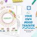 24 Piece Plastic Journal Stencil Set - Ultimate Productivity DIY Templates for A5 Journal - Classic Style - Buy Online on SooperMarket.com