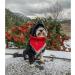 Shop Lionheart Glory Dog Haller 1 Packer Washable Cotton Christmas Neck Towel | Adjustable Red Kerchief for Large Dogs - Buy Online on SooperMarket.com