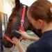 Harrison Howard Horse Grooming Kit 11-Piece Equine Care Series-Dark Charcoal - Buy Online on SooperMarket.com