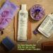 Lavenluv Hair to Stay Shampoo for Hair Growth | Prevents Hair Loss, Boosts Volume | Vitamin B5, Keratin, Dead Sea Minerals, Tea Tree, Hemp & Essential Oils | Men and Women (8oz) - Buy Online on SooperMarket.com