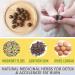 30/60Pcs Perfect Detox Slimming Patch Effective Ancient Remedy Healthy Detox Slimming Belly Pellet Herbal Slimming Tummy Pellets Mugwort Navel Sticker (30pcs) 0.07 g (Pack of 30) - Buy Online on SooperMarket.com