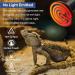 Caldarax 2 Pack 150W Terrarium Reptile Heat Bulb E27 Infrared Ceramic Heating Lamps AC 220-240V Ceramic Heat Emitter for Reptiles Lizards Tortoise Snakes Chicken - Buy Online on SooperMarket.com