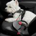 Dogxi 5m Retractable Dog Leash for Small & Medium Dogs - Adjustable Black Belt with Carabiner Perfect for Car Use - 25kg Capacity - Buy Online on SooperMarket.com