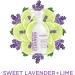 Sapadilla Sweet Lavender + Lime Biodegradable Countertop Cleanser Spray  16 Ounce  (Pack of 1) - Buy Online on SooperMarket.com