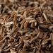 Buy Bremer Gew rzhandel Cumin Seeds (75g) - Whole Cumin for Cooking - International Shipping Available - Buy Online on SooperMarket.com