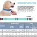 Haapaw Reflecting Dog Collar - Padded Soft Neoprene Breathable Nylon for Small to Medium Dogs - Turquoise (1-Pack) - Buy Online on SooperMarket.com