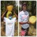 8 oz Raw African Shea Butter - Grade A Ivory/White | 100% Pure Natural Unrefined Moisturizer for Dry Skin | Body, Hair, and Face - Buy Online on SooperMarket.com