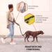 Buy Vitazoo 3m Dog Leash - Adjustable Nylon Graphite Leash with Carabiners for All Dog Sizes - Reflective Black Guide Leash - Buy Online on SooperMarket.com