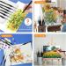 SN NJDF Miniature Detail Paint Brushes Set - 9pcs for Fine Art, Detailing, Model Painting - Acrylic, Watercolor, Oil - Warhammer 40k - Buy Online on SooperMarket.com