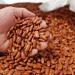 3 x Camil Brazilian Pinto Beans 1Kg | Premium Selection | Frijol Haricots Feijao Carioca | GMO Free | Naturally Gluten Free | Vegan | High Fibre & Protein - Buy Online on SooperMarket.com