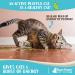 Raw Paws Pet Natural Catnip 1-oz - Premium Loose Catnip Leaf for Cats - Potent Refill for Toys - Cat Catnip Herb Dried - Buy Online on SooperMarket.com