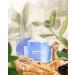 Then I Met You Renewing Rich Beauty Cream - Ginseng + Squalane Moisturizer - Vegan Clean Skincare - Buy Online on SooperMarket.com