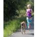 DINGO Canicross Belt 4-in-1 | Universal Adjustable Hands-Free Dog Walking Belt | Reflective Multifunctional | Running Sports Jogging Training | Black Waist Belt (12780-2) - Buy Online on SooperMarket.com