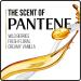 Pantene Pro-V Daily Moisture Renewal Shampoo 20.1 fl oz - Hydrating Hair Wash - Buy Online on SooperMarket.com