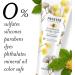 Pantene Nutrient Blends Fortifying Damage Repair Conditioner Sulfate Free 237 Ml - Buy Online on SooperMarket.com