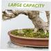 BCOATH Pet Water Feeder Ants Feeding Bowl Ant Feeding Bowl Water Bowl for Ants Mini Liquid Feeder Plastic - Buy Online on SooperMarket.com