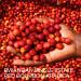 Kivu Noir Specialty Fair Trade Red Bourbon Arabica Espresso Roast Coffee - 453g Pack - Buy Online on SooperMarket.com