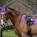 Weatherbeeta Prime Jump Saddle Pad - Full Black - Buy Online on SooperMarket.com