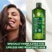 Yves Rocher Fortifying Density Shampoo - Cleanse Scalp & Strengthen Hair | 10.1 fl oz - International Shipping Available - Buy Online on SooperMarket.com