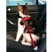 Buy Trixie Car Point for Cats - 1 Piece (Red) | International Shipping & Best Prices - Buy Online on SooperMarket.com
