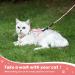 Petom Flower Pattern Cat Dishes & Leash Set | Round Lanyard for Cats - Shop Internationally! - Buy Online on SooperMarket.com