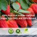 Organic Strawberry Powder - 5.3oz (150g) Freeze Dried Fruit Powder - Buy Online on SooperMarket.com