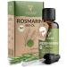 Heldengr n Bio rosemary oil 50 ml high -dose stimulated hair growth - hair oil in hair loss - 100% natural rosemary oil - rosemary oil hair 50 ml (1 Pack) rosemary
