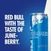 Red Bull Energy Drink 250 ml x 24 (Pack of 6 x 4) & Energy Drink Summer Edition Juneberry 250 ml x12 - Buy Online on SooperMarket.com