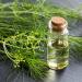 Outsidepride Fennel Herb Garden Plant - Bulb, Foliage & Seed for Cooking - 1oz - Buy Online on SooperMarket.com