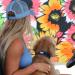 Black Rhino Comfort Collar | Super Soft Neoprene Dog Collar for All Breeds | Adjustable Reflective & Weatherproof (Large Blue/Black) - Buy Online on SooperMarket.com