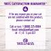 Wellness Complete Health Grain-Free Wet Cat Food - Natural Chicken in Gravy, 24-Pack, No Wheat or Artificial Additives - Buy Online on SooperMarket.com